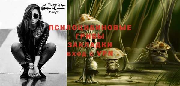 прущий лед Алексеевка
