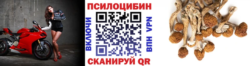 Галлюциногенные грибы Cubensis  как найти закладки  Карасук 