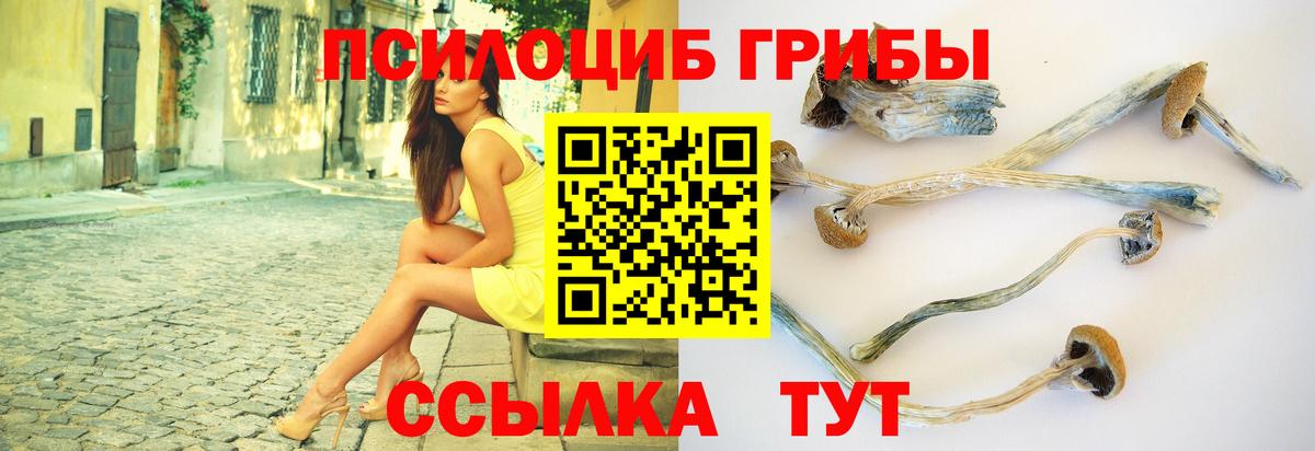 Карасук  Псилоцибиновые грибы GOLDEN TEACHER  Вход с VPN  Галлюциногенные грибы GOLDEN TEACHER 